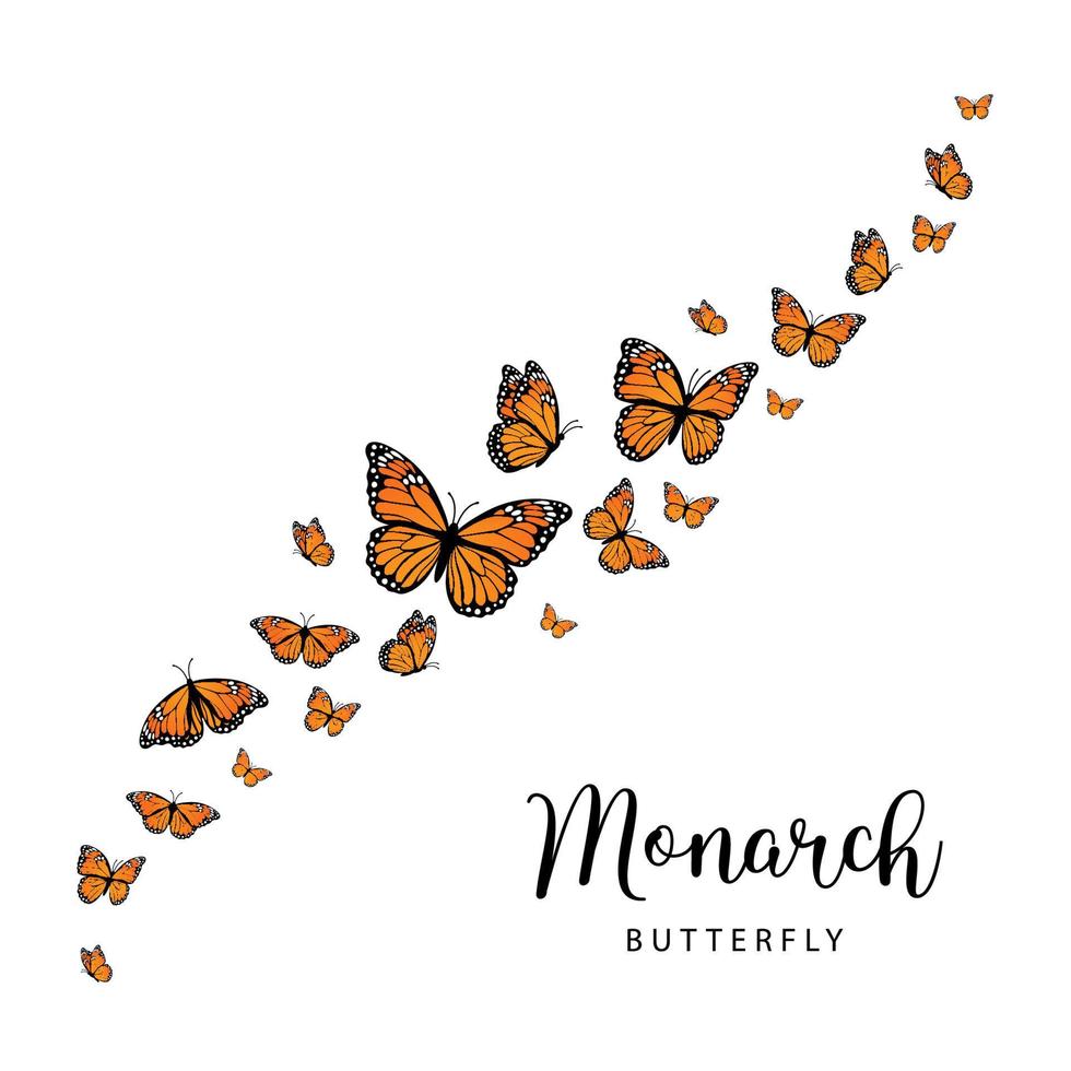 Fiying Monarch butterflies. Vector illustration isolated on white background