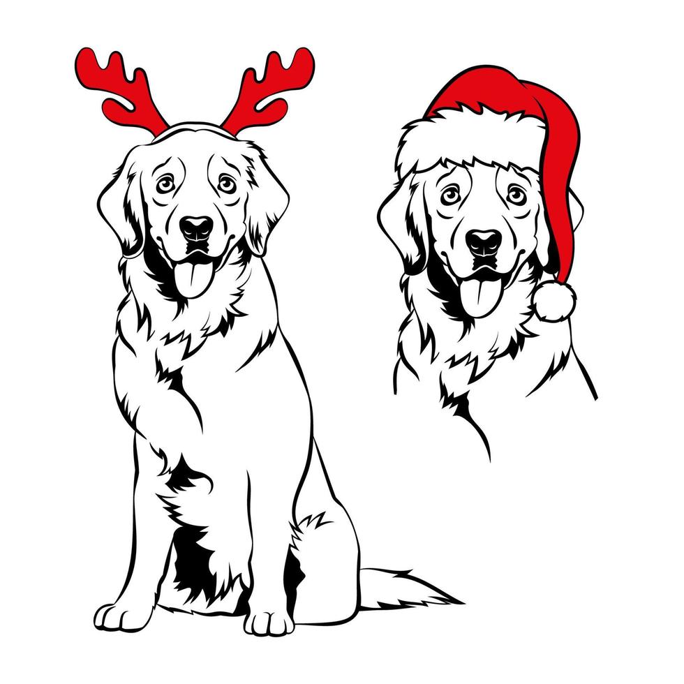 golden retriever con cuernos de reno rojo y sombrero de santa. retrato de perro labrador de navidad. ilustración vectorial vector
