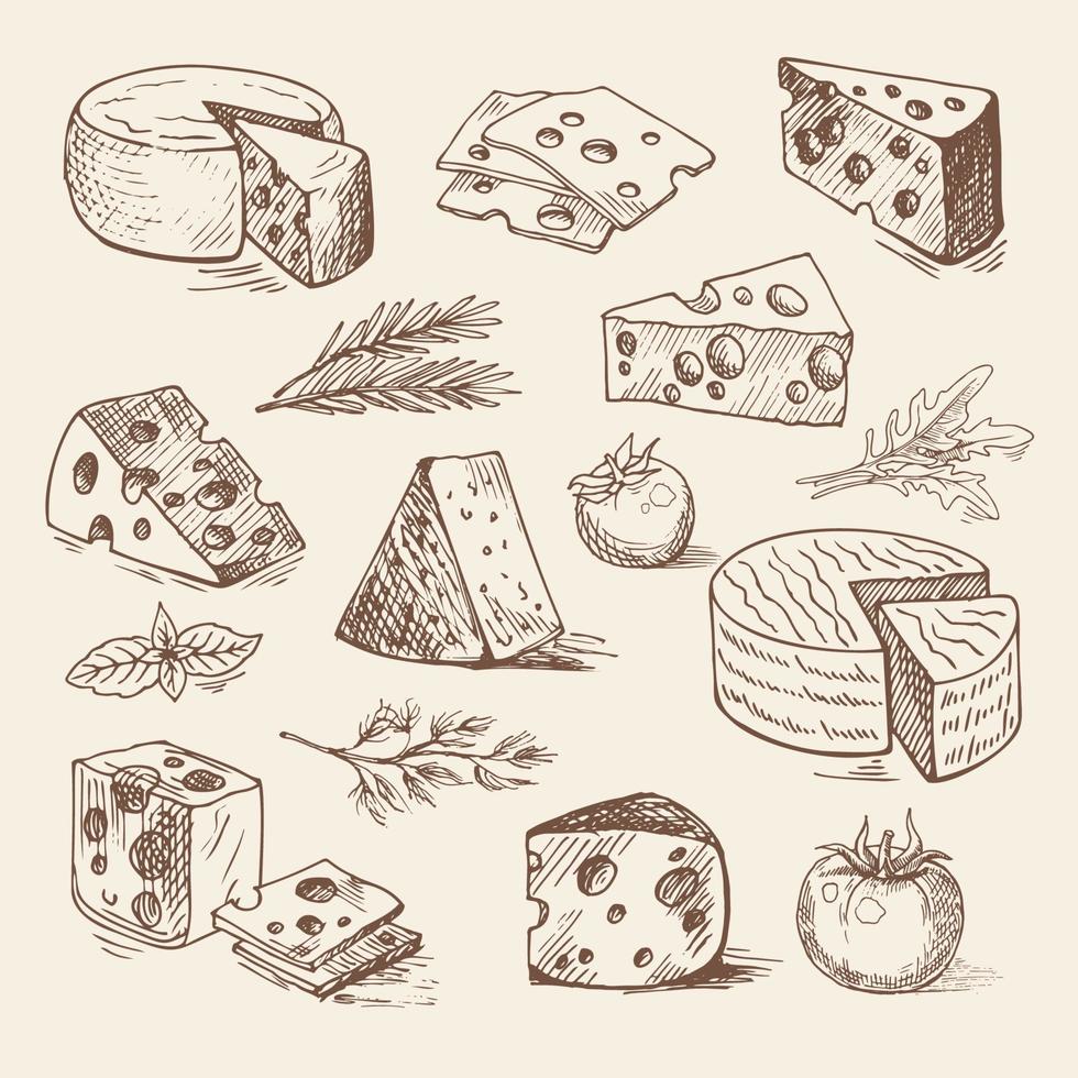 trozos de queso, tomates, verduras dibujados a mano. boceto vectorial, ilustración de alimentos orgánicos vector