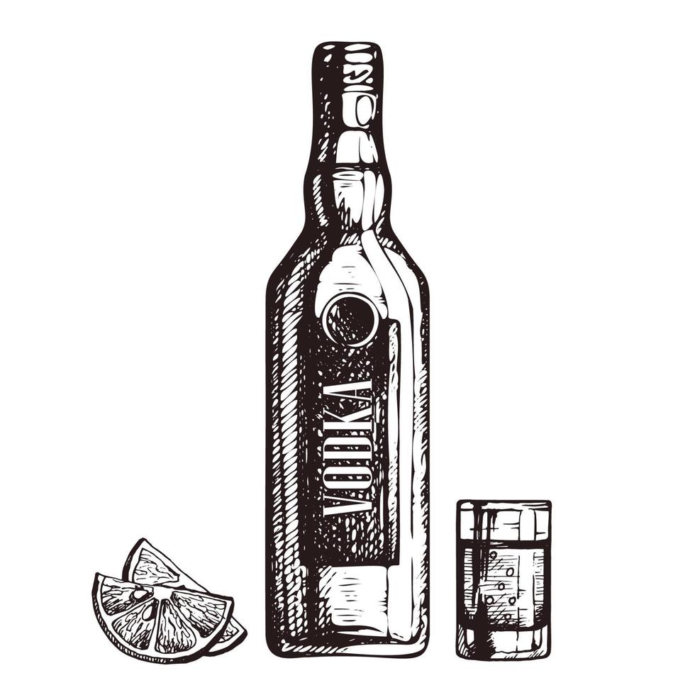 botella dibujada a mano de vodka, vaso de chupito y rodajas de limón, ilustración de vector de estilo boceto