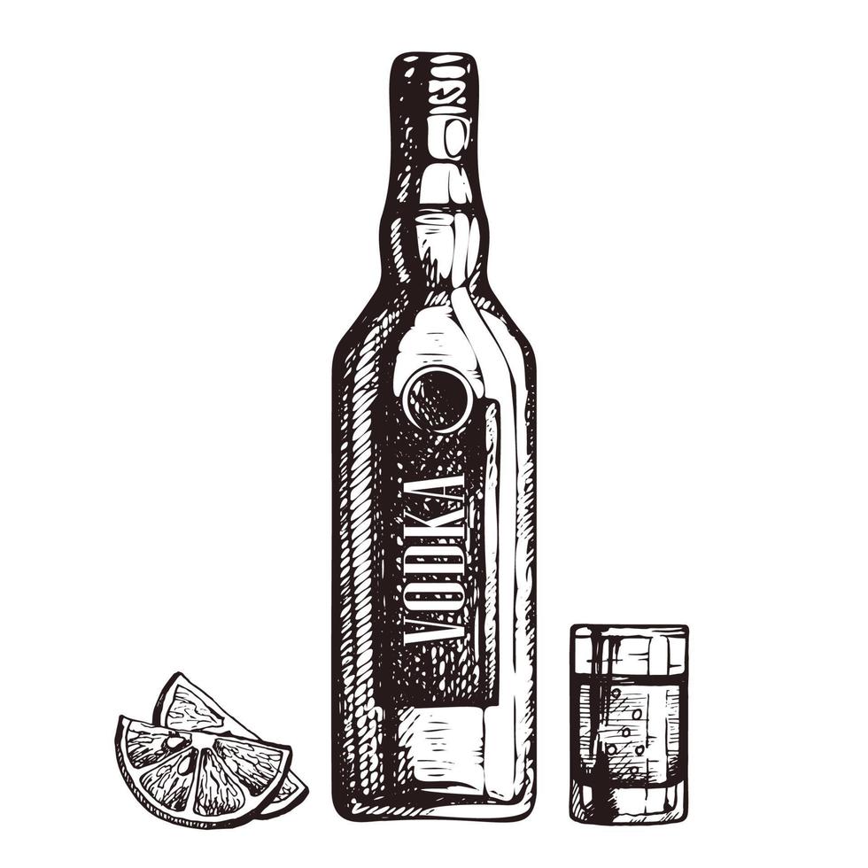 Hand drawn bottle of vodka, shot glass and lemon slices, sketch style vector illustration