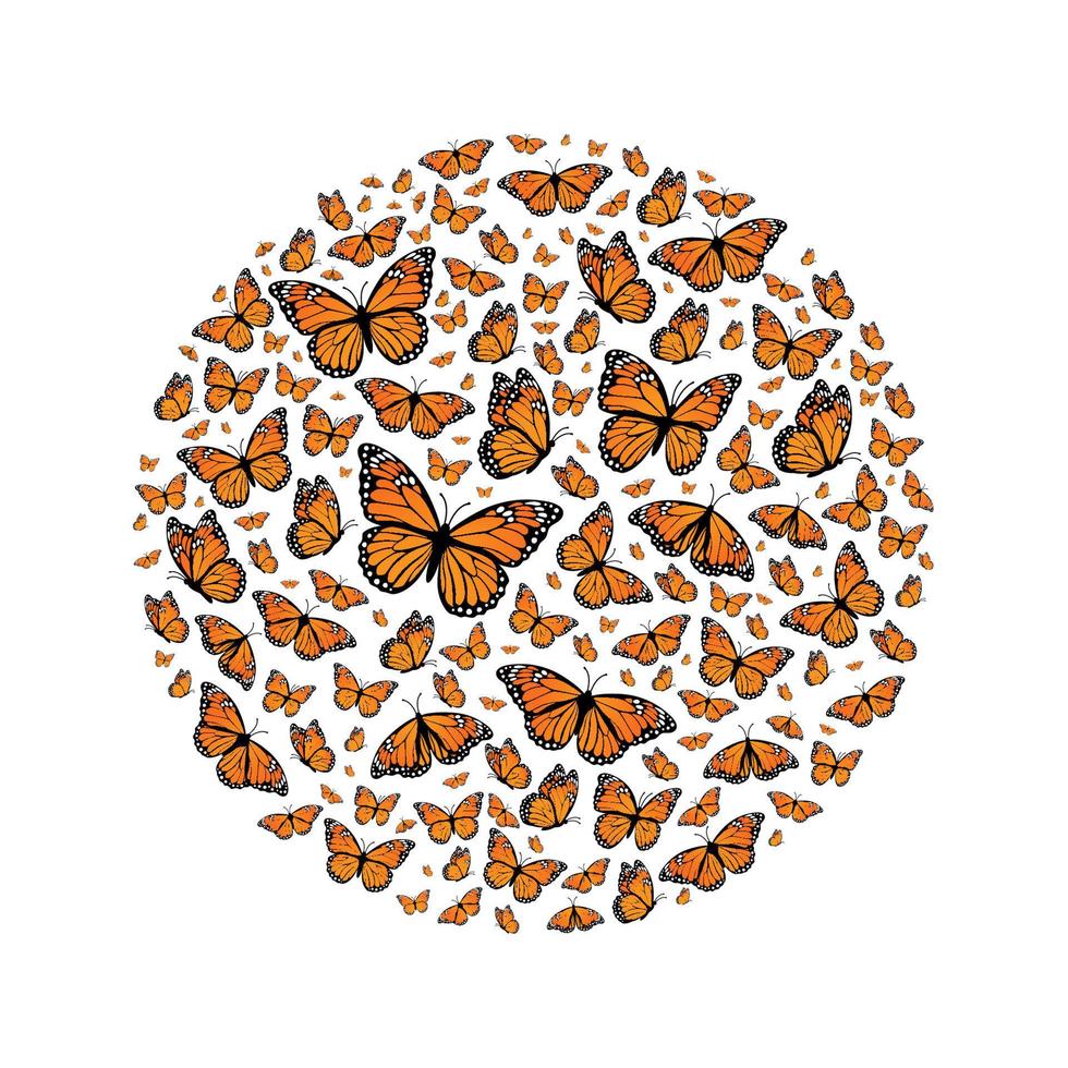 Monarch butterflies butterflies in the shape of a circle. Vector illustration isolated on white background