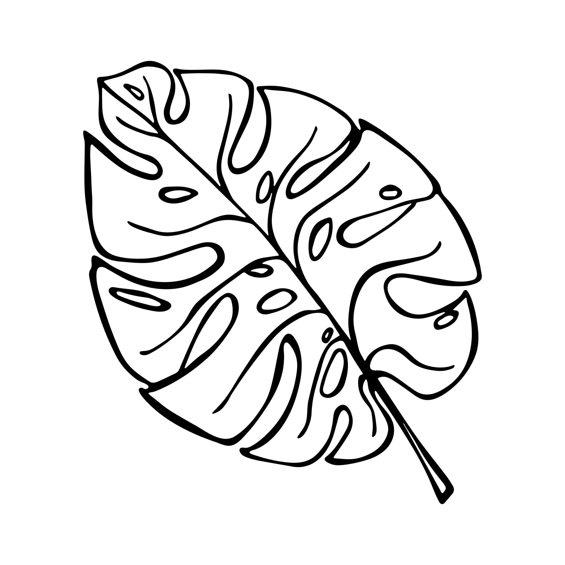 Simple tropical monstera leaf illustration. Hand drawn vector clipart ...