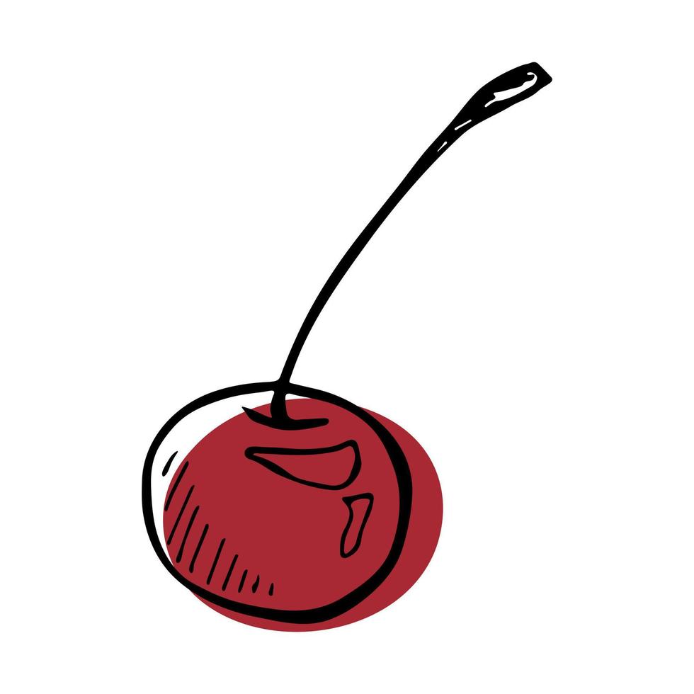 Vector cherry clipart. Hand drawn berry icon. Fruit illustration