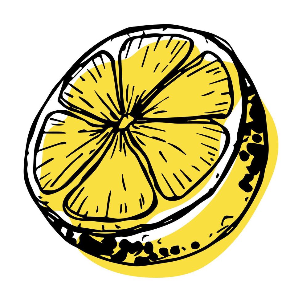 Vector lemon clipart. Hand drawn citrus icon. Fruit illustration. For ...