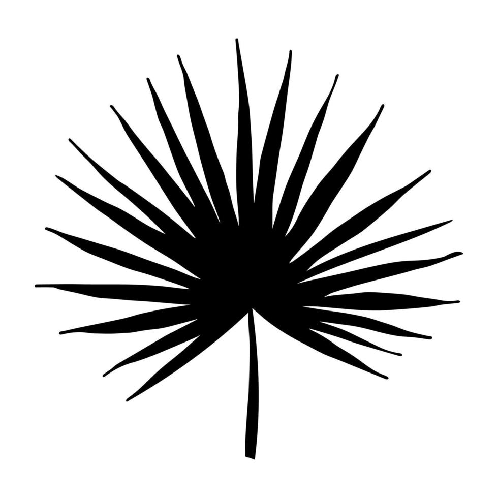 Simple tropical leaf illustration. Hand drawn vector clipart. Botanical doodle