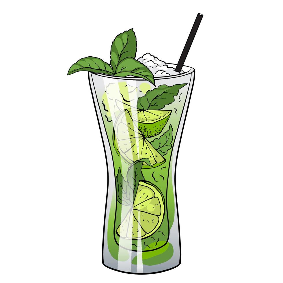 Mojito cocktail, hand drawn cocktail with ice, mint and lime. Vector illustration