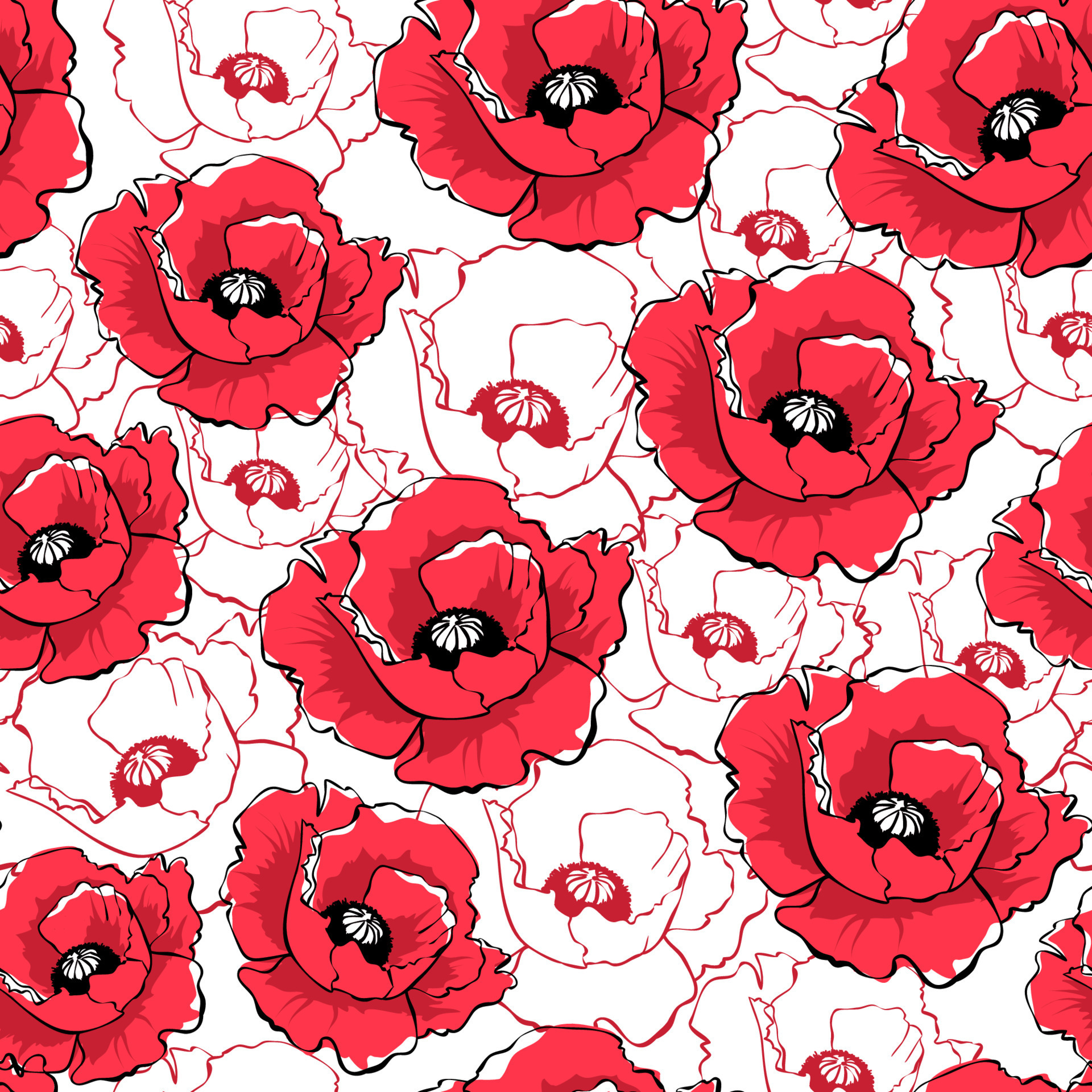 Vector red poppy flowers on white background. Hand drawn seamless