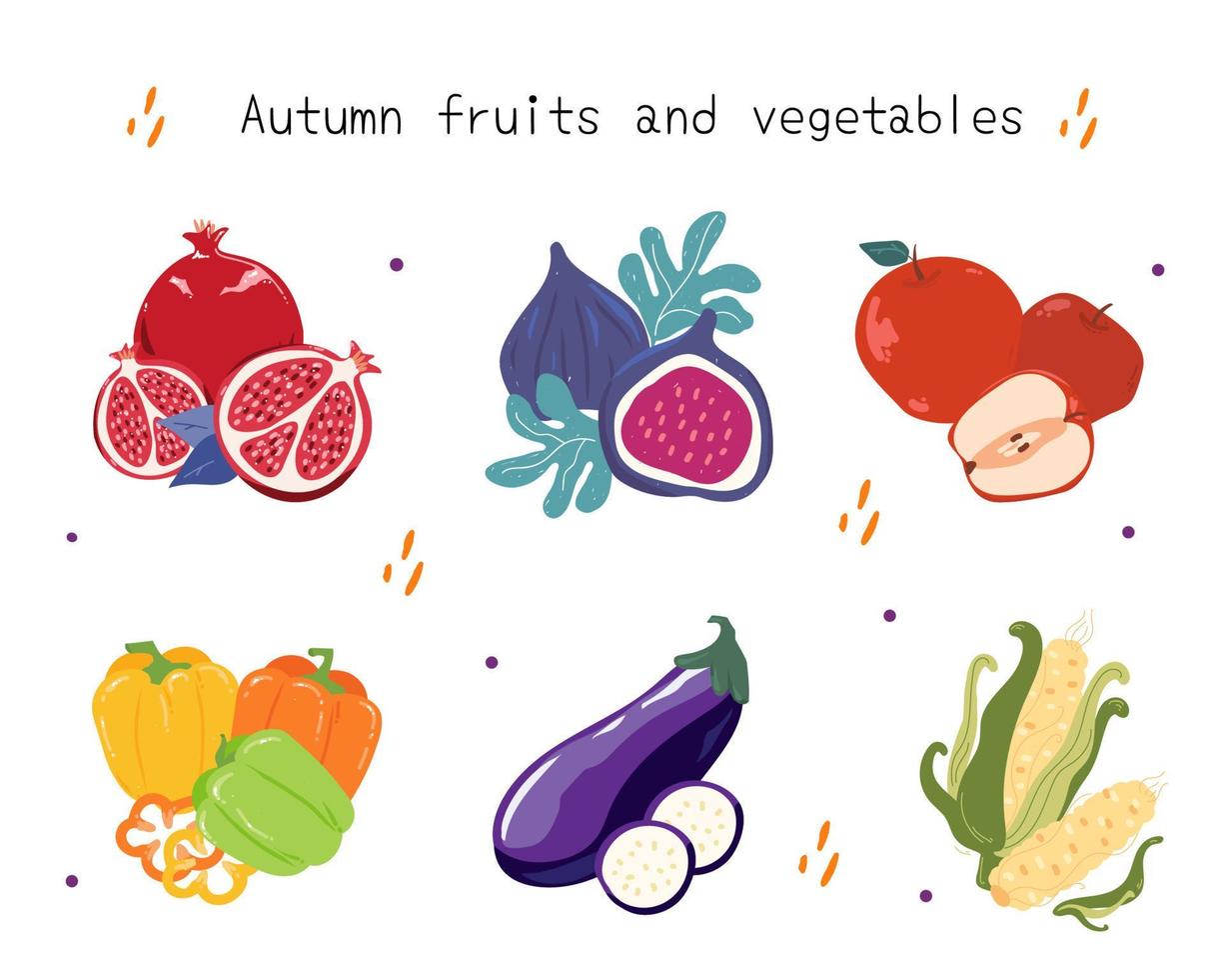 Set of hand drawn fall fruits and vegetables pomegranate, fig, apple, sweet pepper, eggplant and corn vector