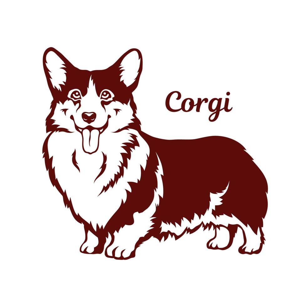 perro cárdigan corgi galés. Ilustración vectorial sobre fondo blanco vector