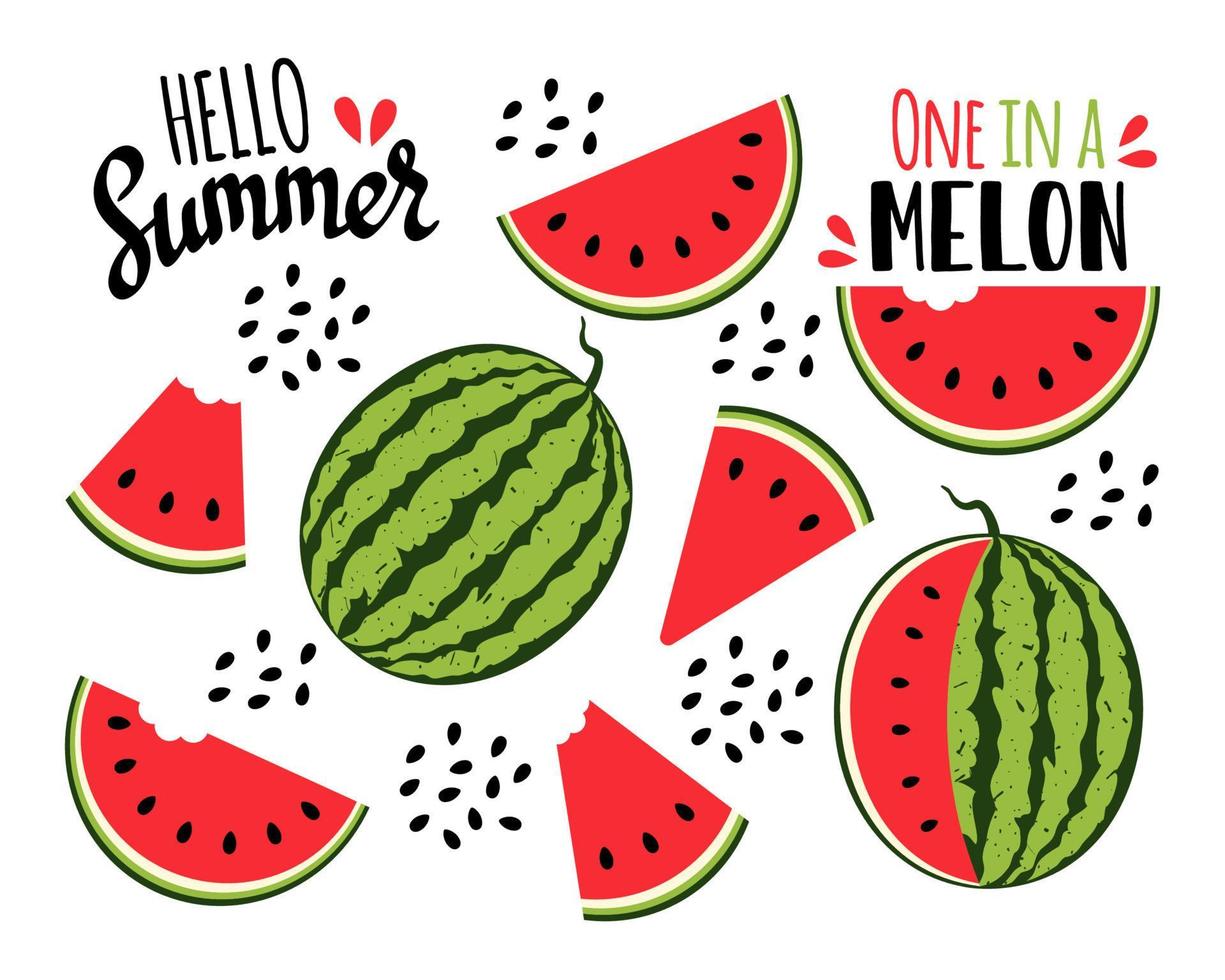 Watermelon collection. Watermelon slices and seeds. Vector illustration