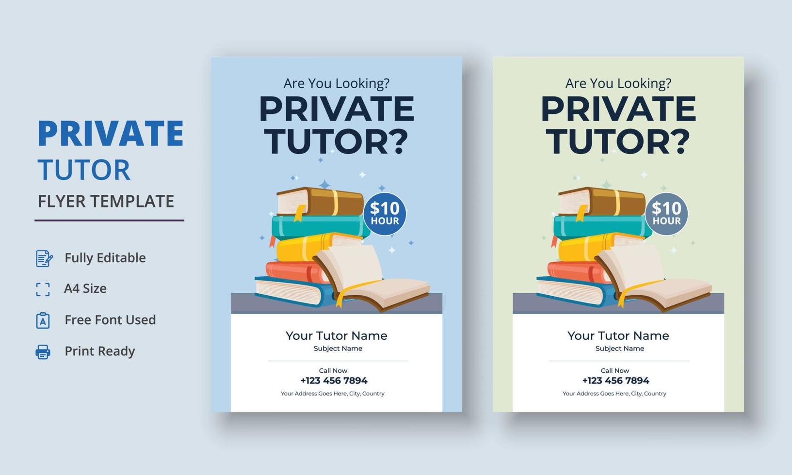 Private Tutor Flyer Template, Home Tuition Flyer, Online Tutors Flyer Template, Course Poster Template, Education Flyer vector