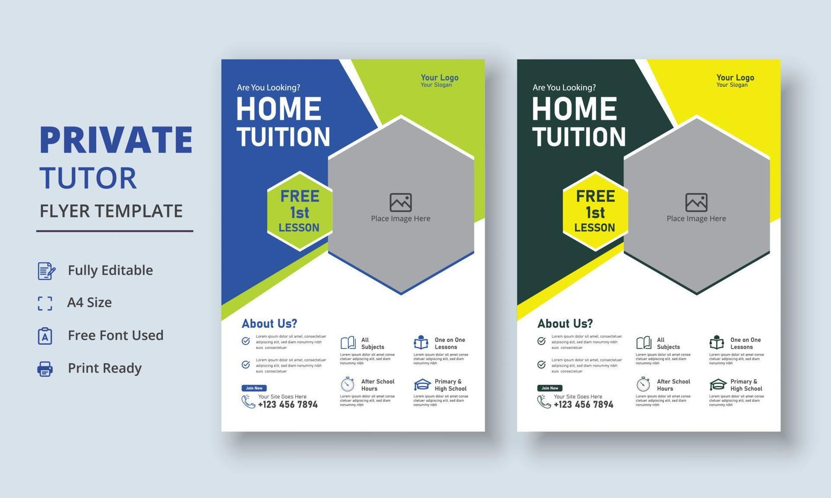 Private Tutor Flyer Template, Home Tuition Flyer, Online Tutors Flyer Template, Course Poster Template, Education Flyer vector