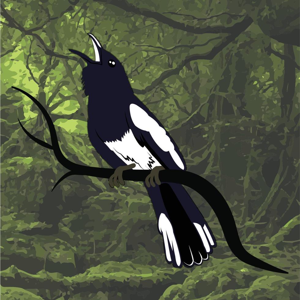 koci bird endemic indonesian vector