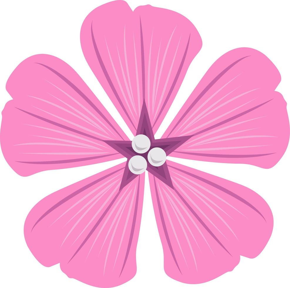 Lavatera flower vector illustration for graphic design and decorative element