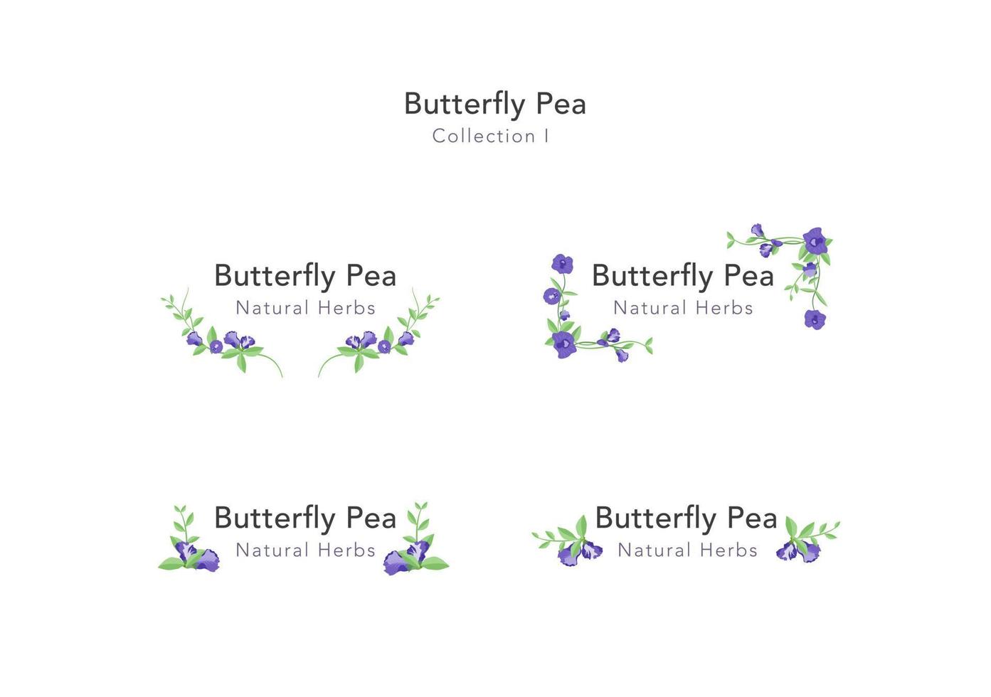 set of Butterfly pea floral ornament vector