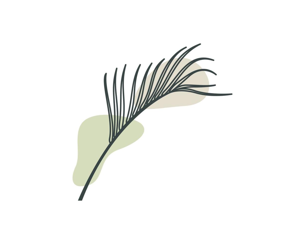 Aesthetic Palm Leaf. Plant Vector Design