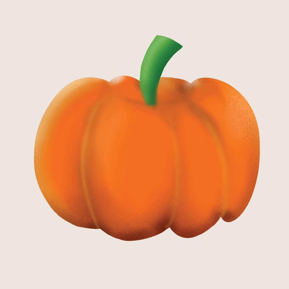 The pumpkin vector for thanksgiving or halloween concept