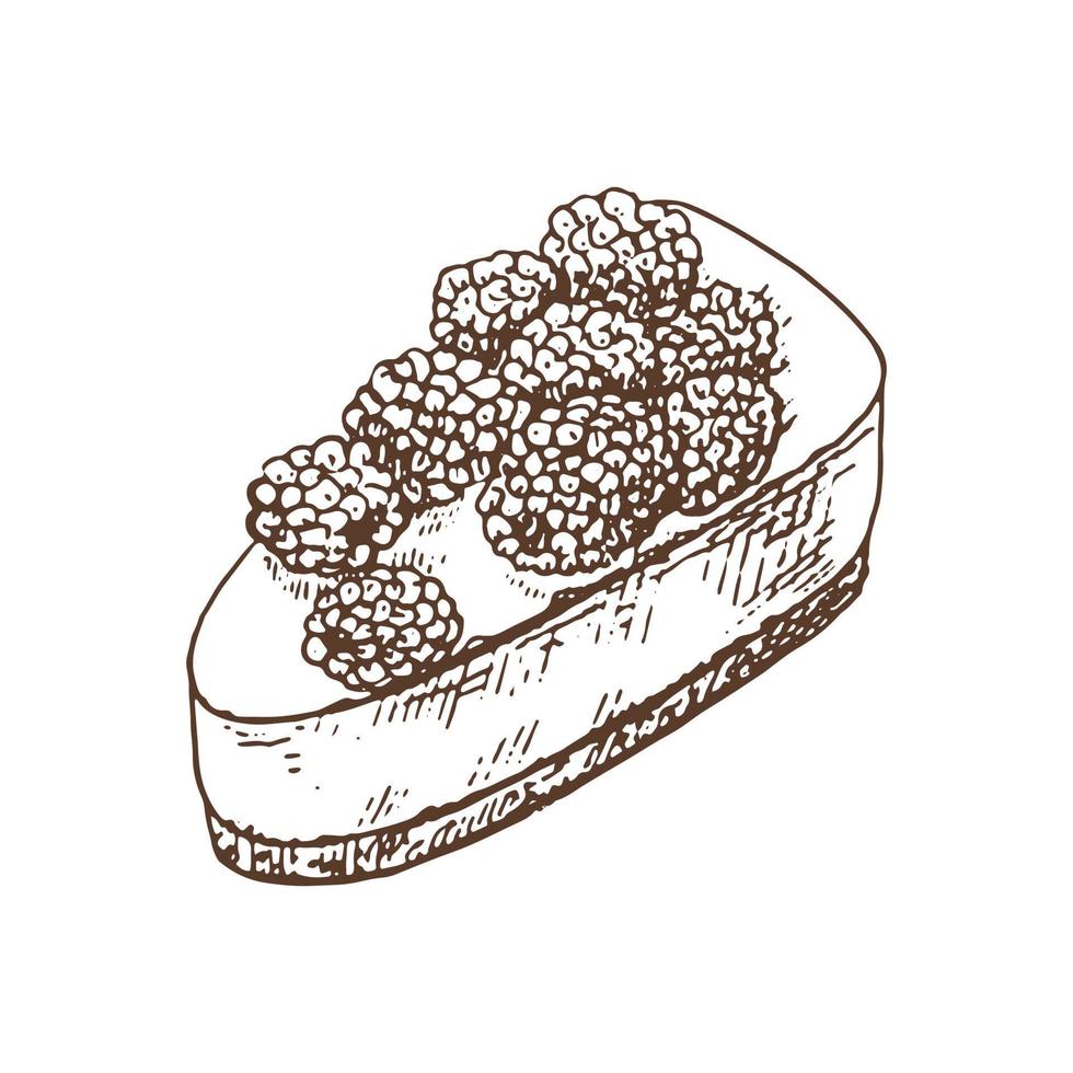 Tasty Creamy Sweet Dessert. Vintage Vector Monochrome Illustration. Hand drawn sketch of Delicious Cake With blackberry.  Design Gastronomy Product element.
