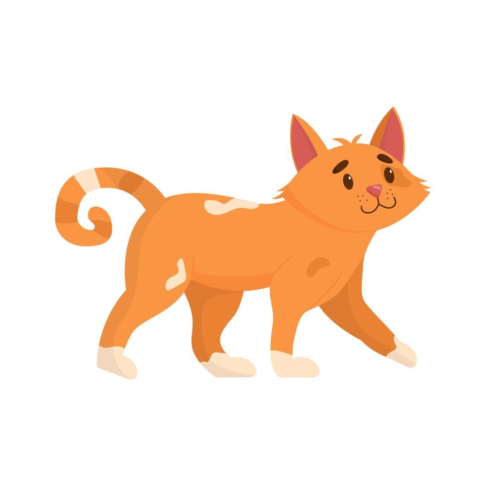 lindo gato. gato doméstico, divertido aislado sobre fondo blanco. ilustración vectorial plana vector