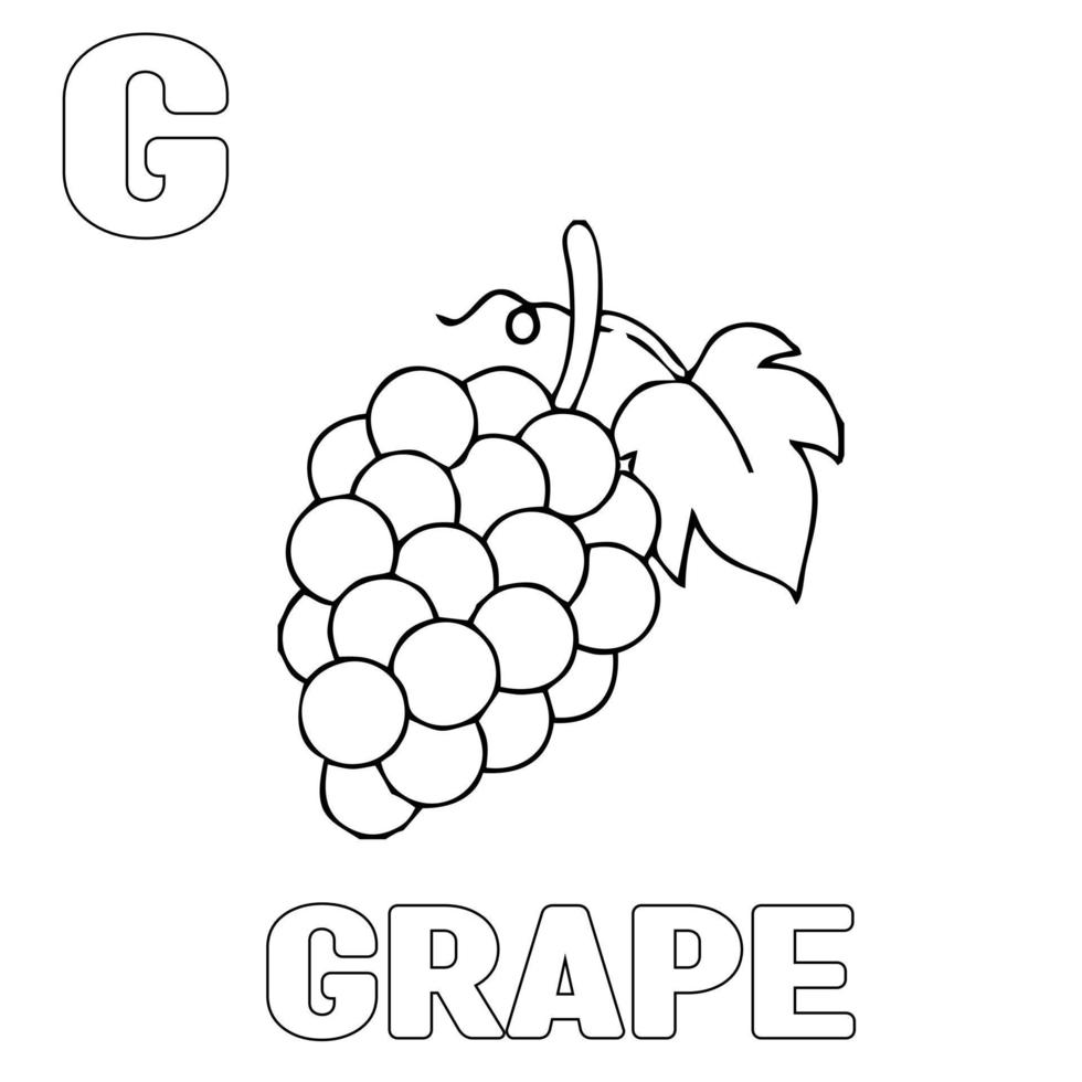 Coloring page grapes. Coloring and learning to recognize the letter G in vector EPS10 format. Editable