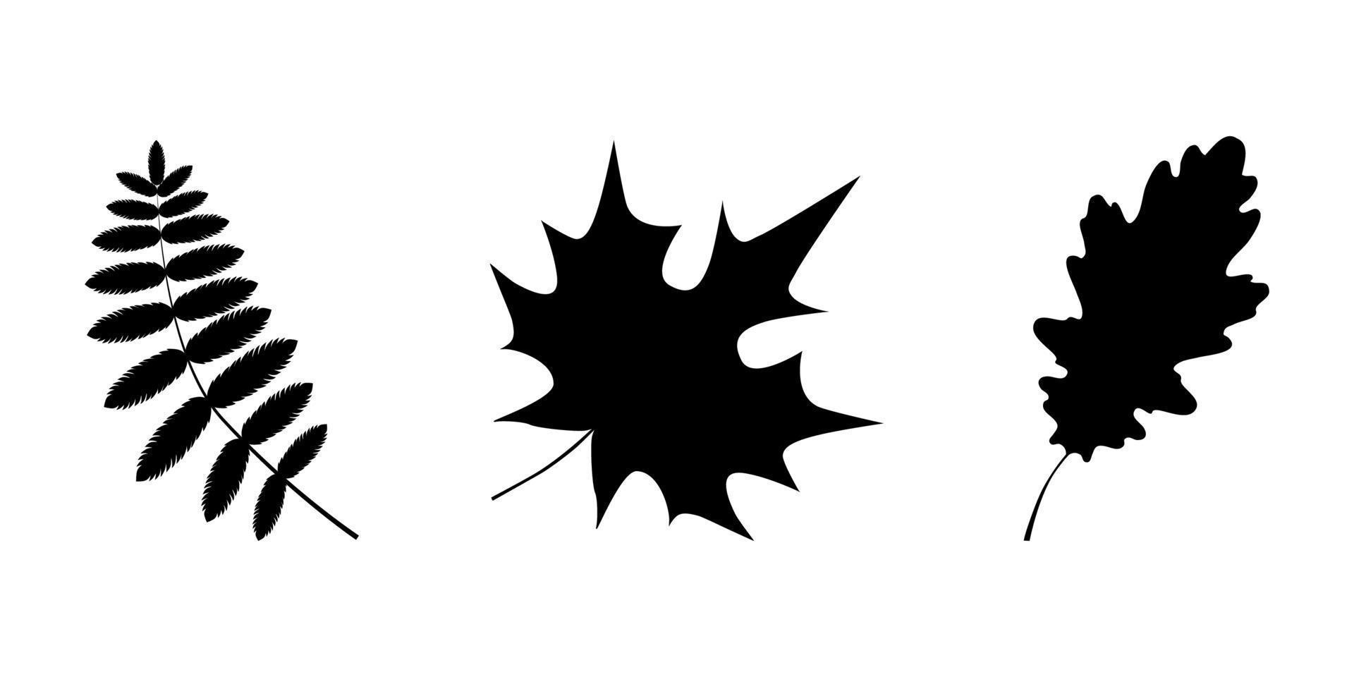 Collection of abstract black silhouette autumn leaves on the white background. Simple vector stock illustration.