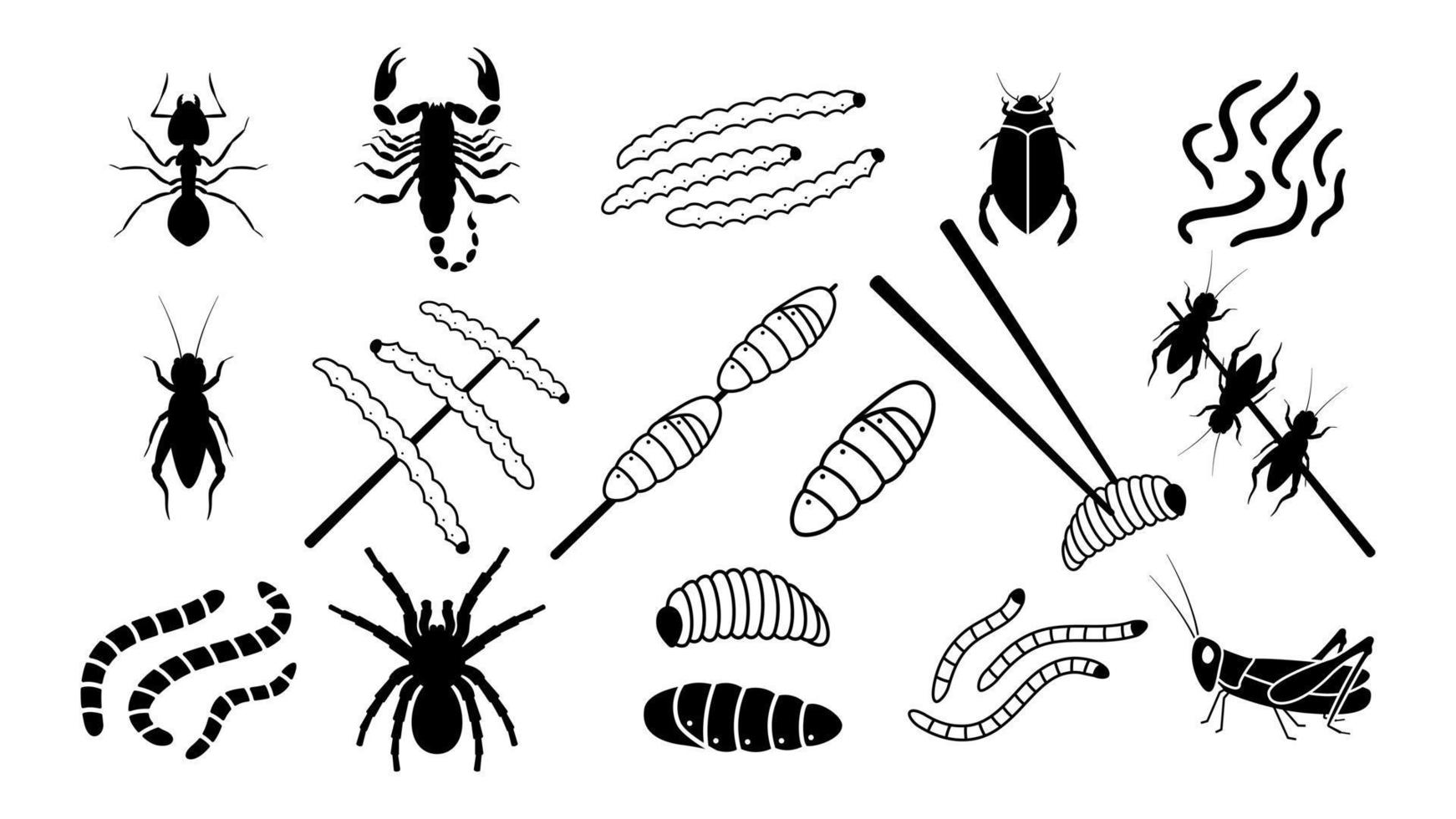 Edible insects set. Organic black ants with salt and dried crickets on stick. Protein silkworm larvae with fried grasshoppers and vector spiders