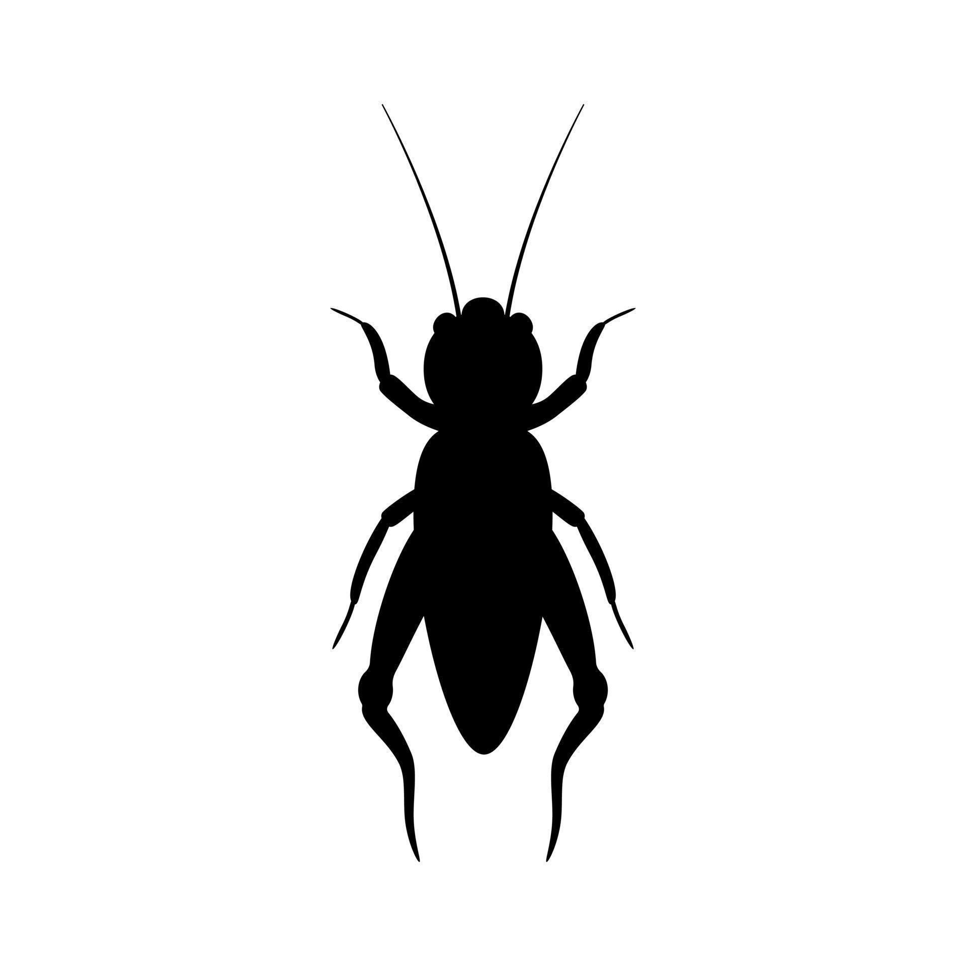 Black silhouette of cricket. Realistic orthopteran insect with long