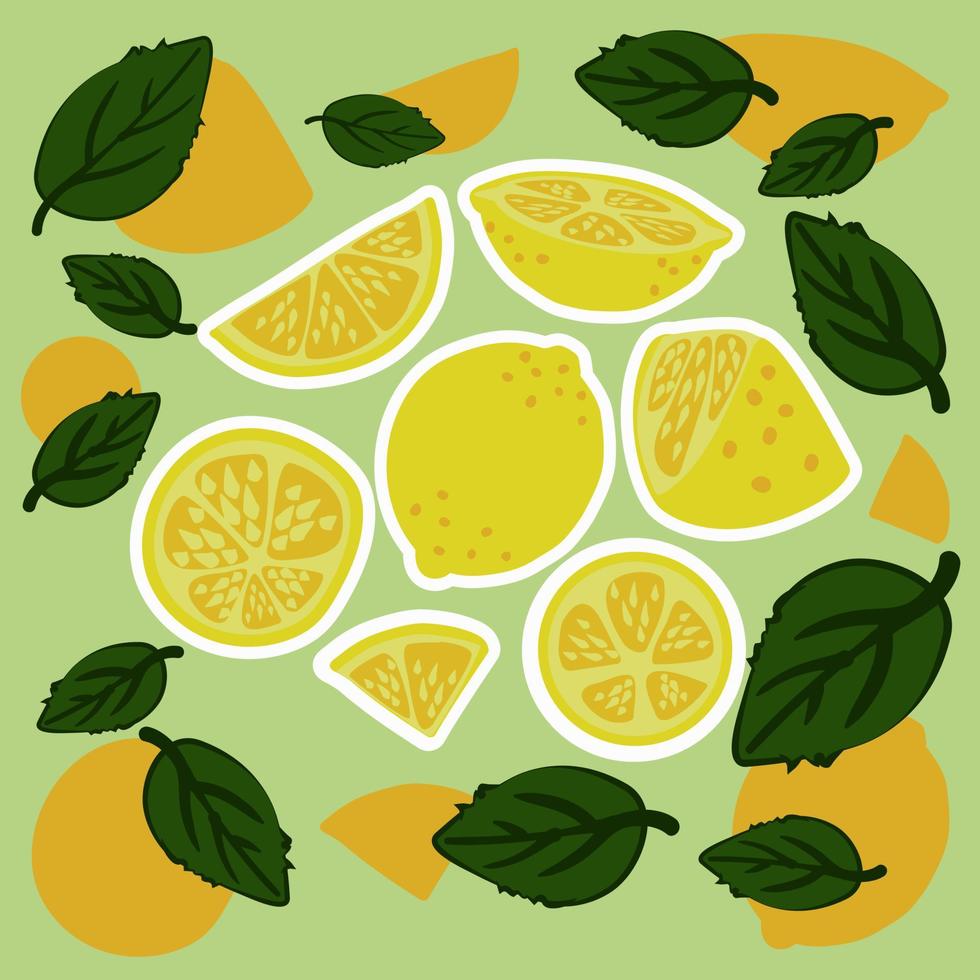 A hand-drawn set of lemons with leaves. Sliced lemons and leaves. vector