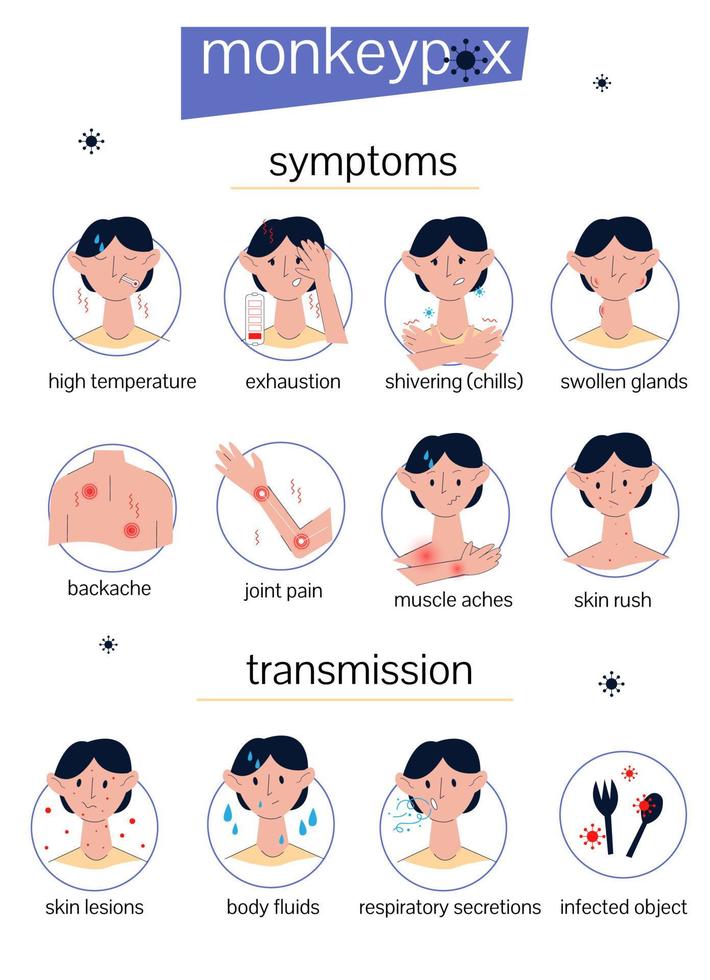 transmisión y síntomas de la viruela del simio. cartel de información infografías con personajes e iconos vector