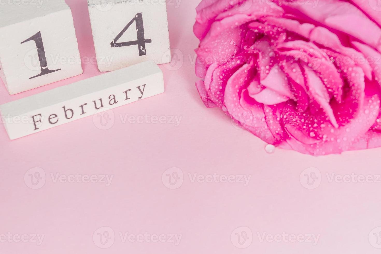 concepto de san valentín y vacaciones: cierre del calendario de madera con fecha del 14 de febrero y rosa pnk con gotas de agua foto