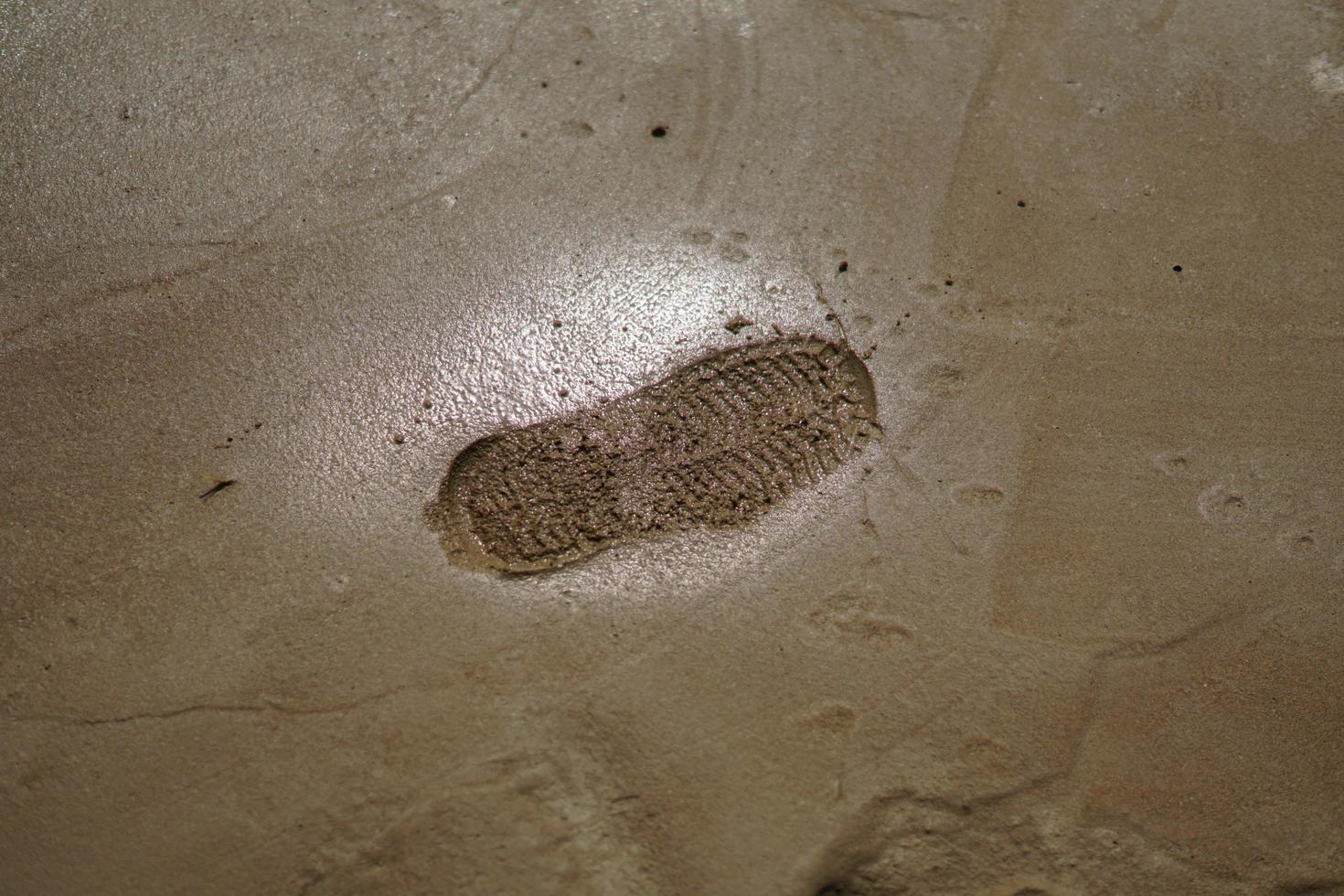 footprint on raw concrete layer photo