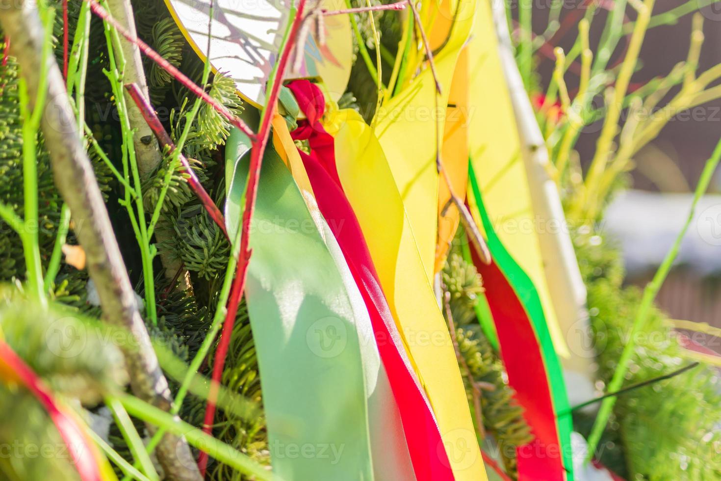 green, red, yellow satin ribbons on christmas tree as decoration photo