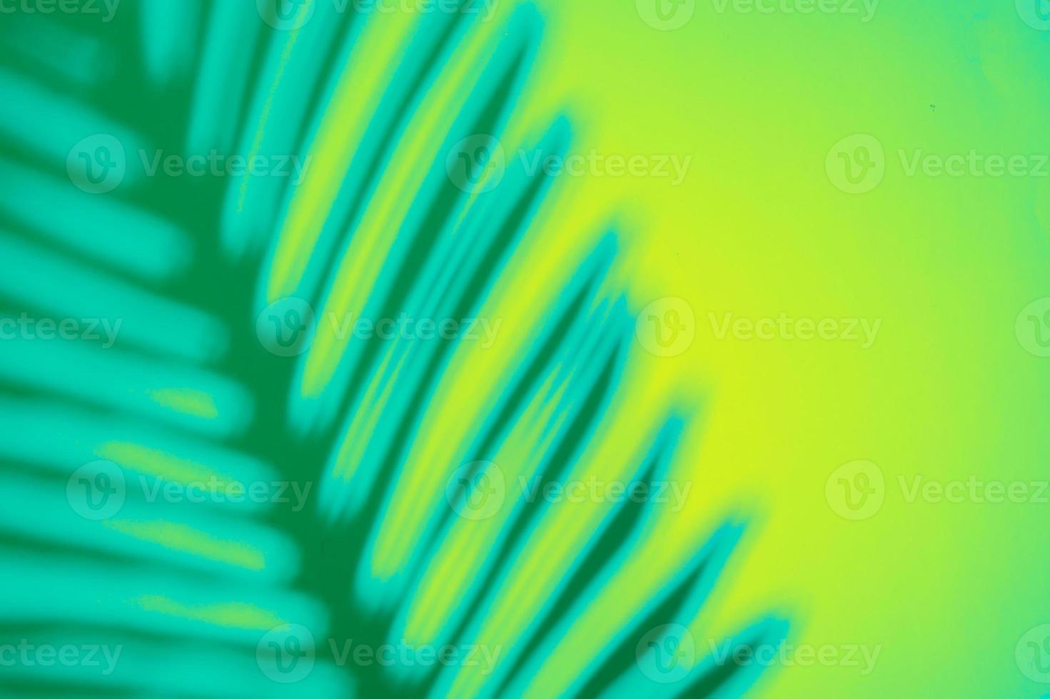 Top view of tropical palm leaf shadow on green and blue background. Flat lay. Summer concept with palm tree leaf, copyspace photo