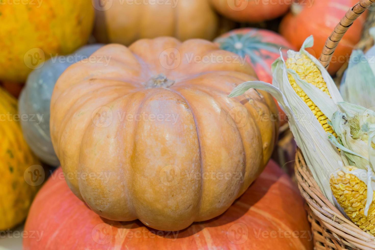 Autumn nature concept. Fall vegetables close up. Thanksgiving dinner and decoration. Corn and pumpkin photo