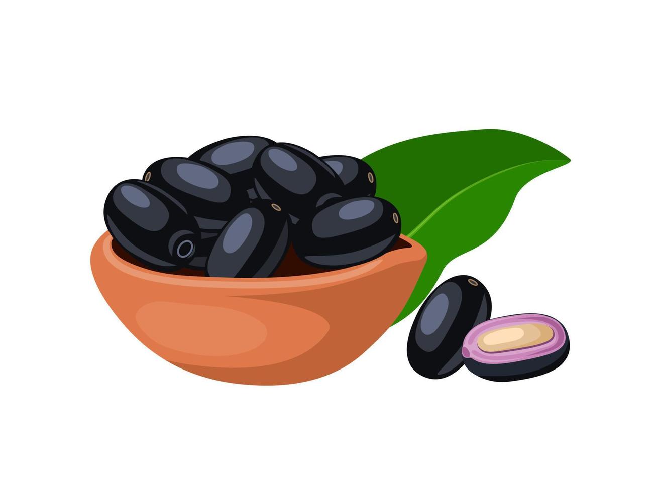 Vector illustration, Jambolan plum or Javanese plum, scientific name Syzygium cumini, isolated on a white background, exotic fruit as a medicinal herb.