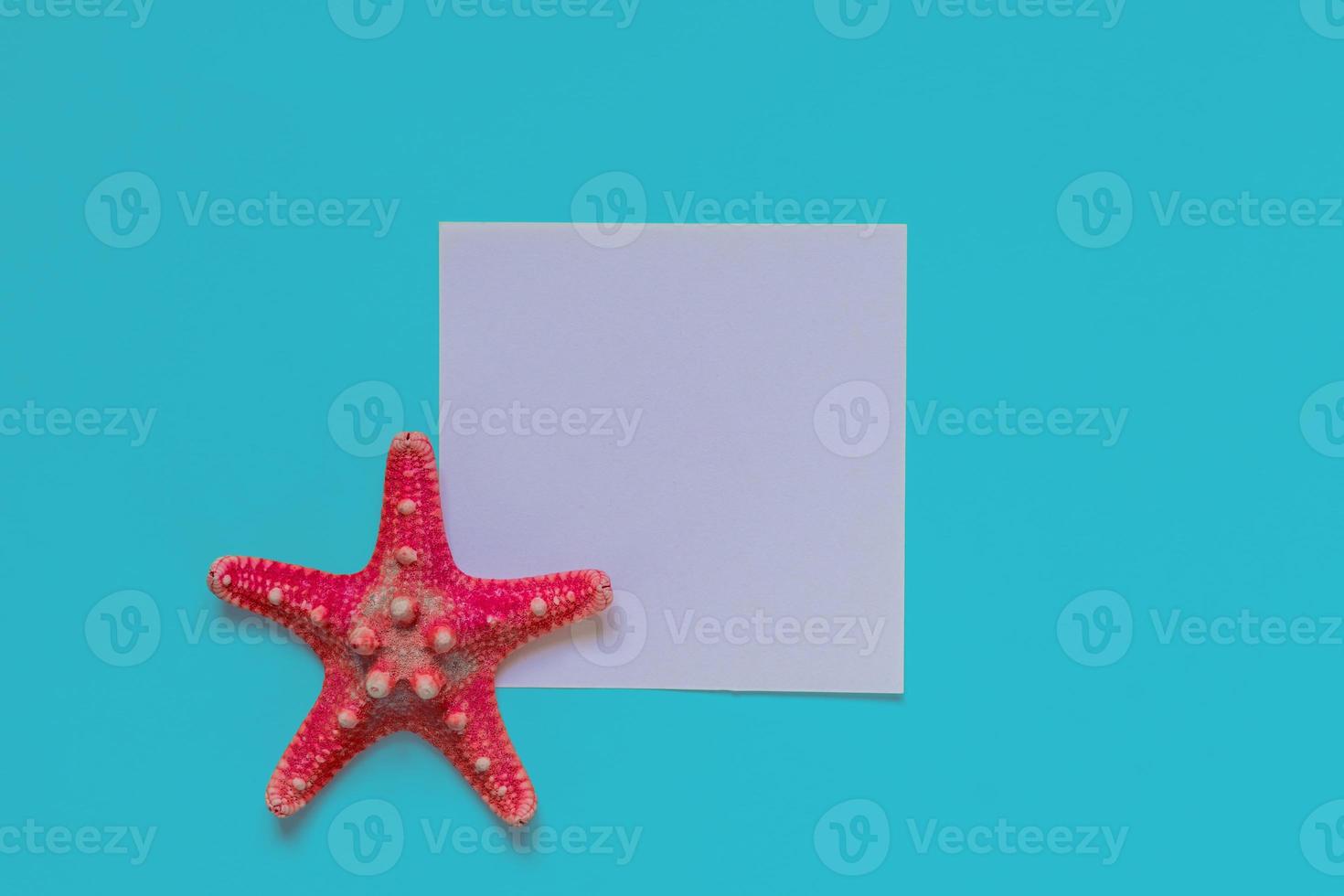 Red starfish on light blue background with copy space. summer holiday and vacation concept photo