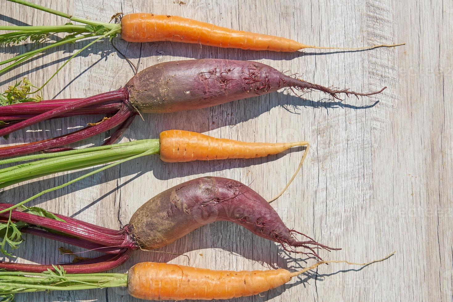 Freshly harvested homegrown organic beetroot and carrot on wooden table. photo