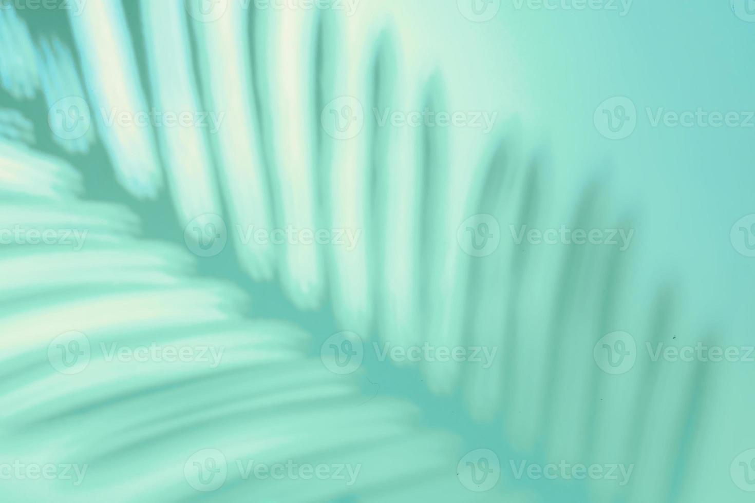 Abstract background of shadows palm leaves on pastel blue backdrop in backlight. Creative concept. photo
