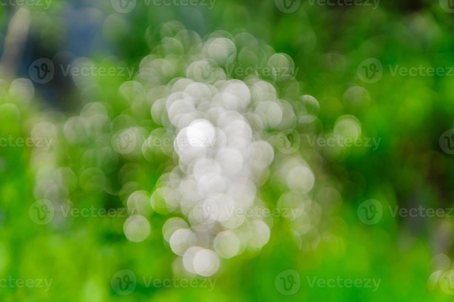 Bokeh abstract texture. Beautiful christmas background in green colors. Defocused photo