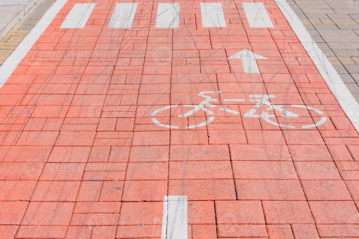 A bike lane for cyclist. Bicycle sign or icon on the road in the park photo