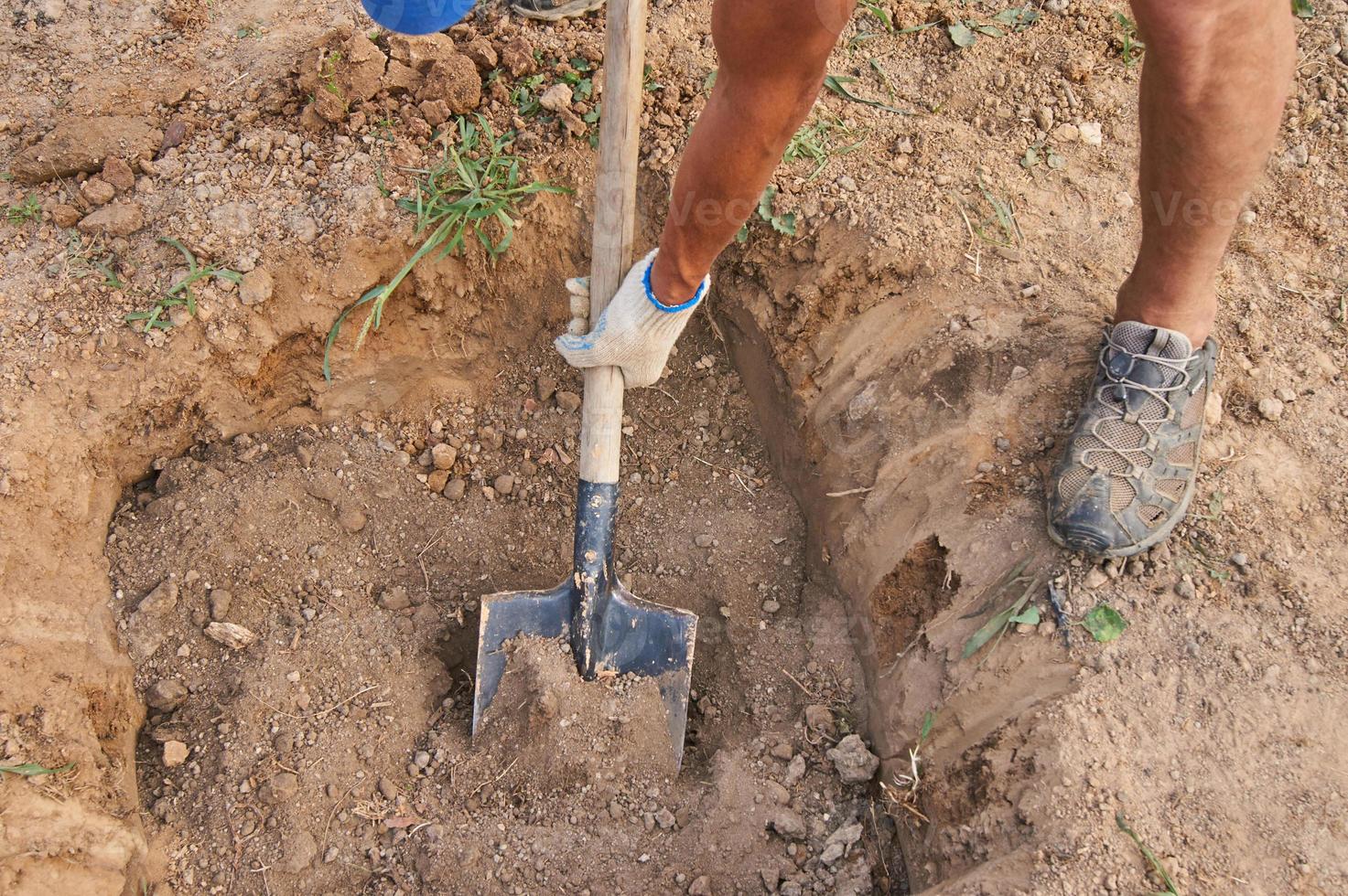 The gardener makes a hole in the ground for planting trees photo