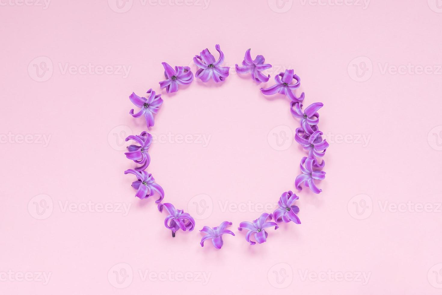 Round frame of pastel purple hyecinth flowers on gradient pink background. Floral wreath. Layout for holidays greeting of Mothers day, birthday, wedding or other happy event photo