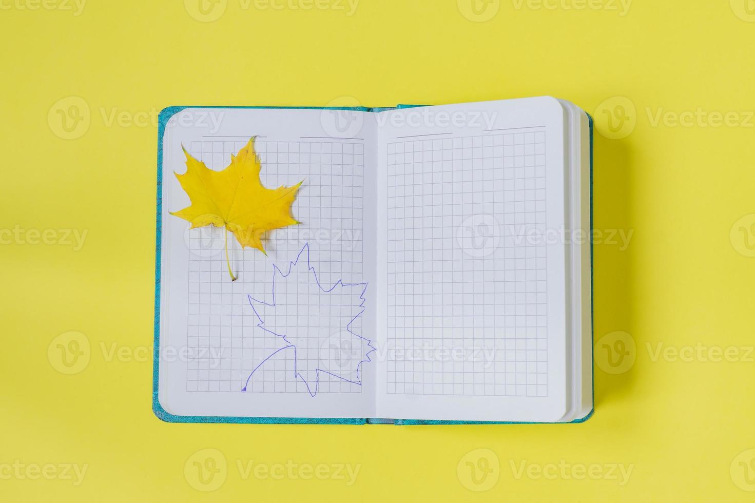 Blank open notebook with maple leaf  and drawing  on yellow background. Empty diary and autumn concept photo