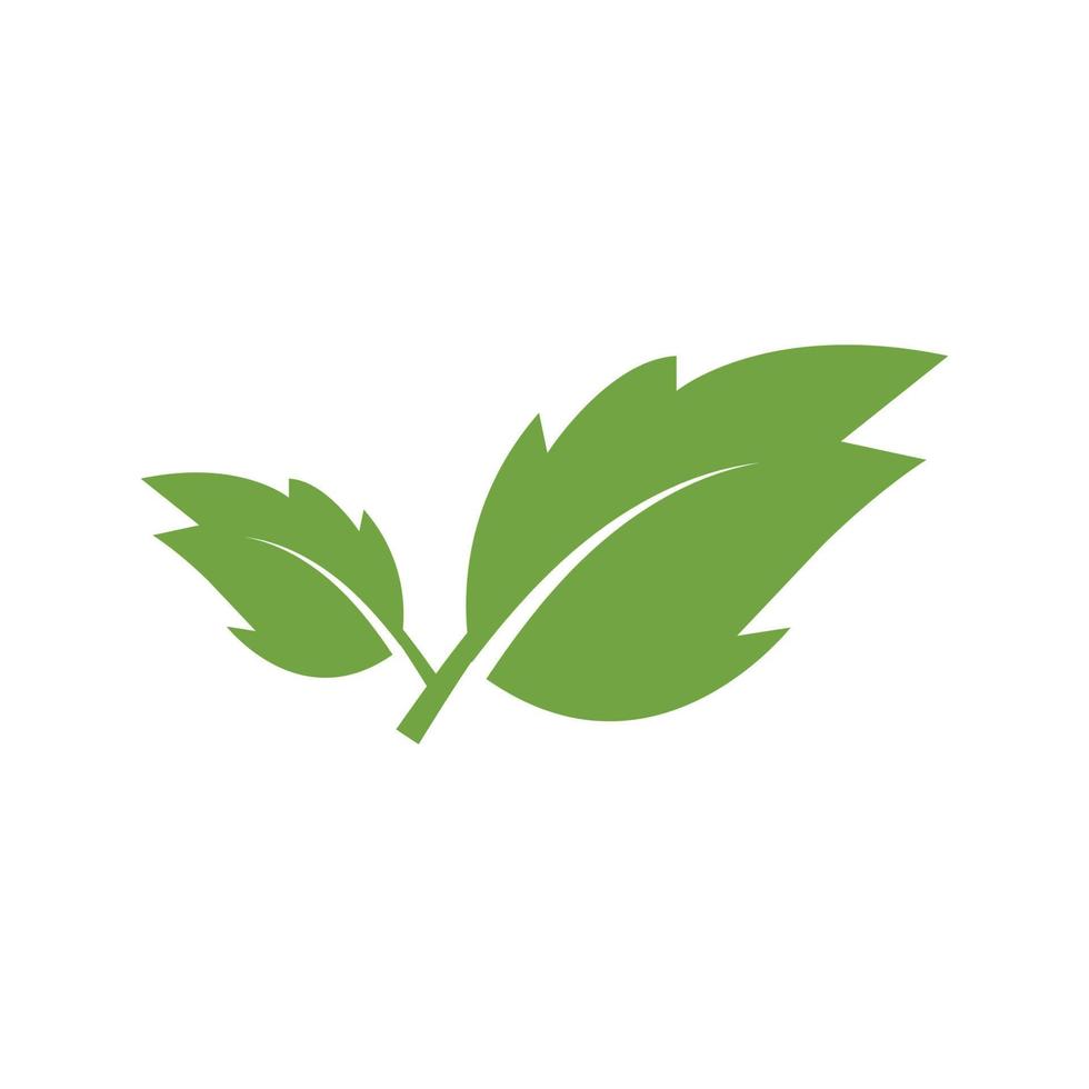 Logos of green Tree leaf ecology nature element vector