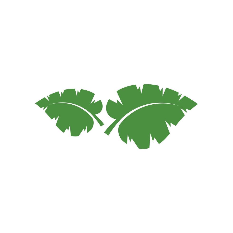 logotipos de vector de elemento de naturaleza de ecología de hoja de árbol verde