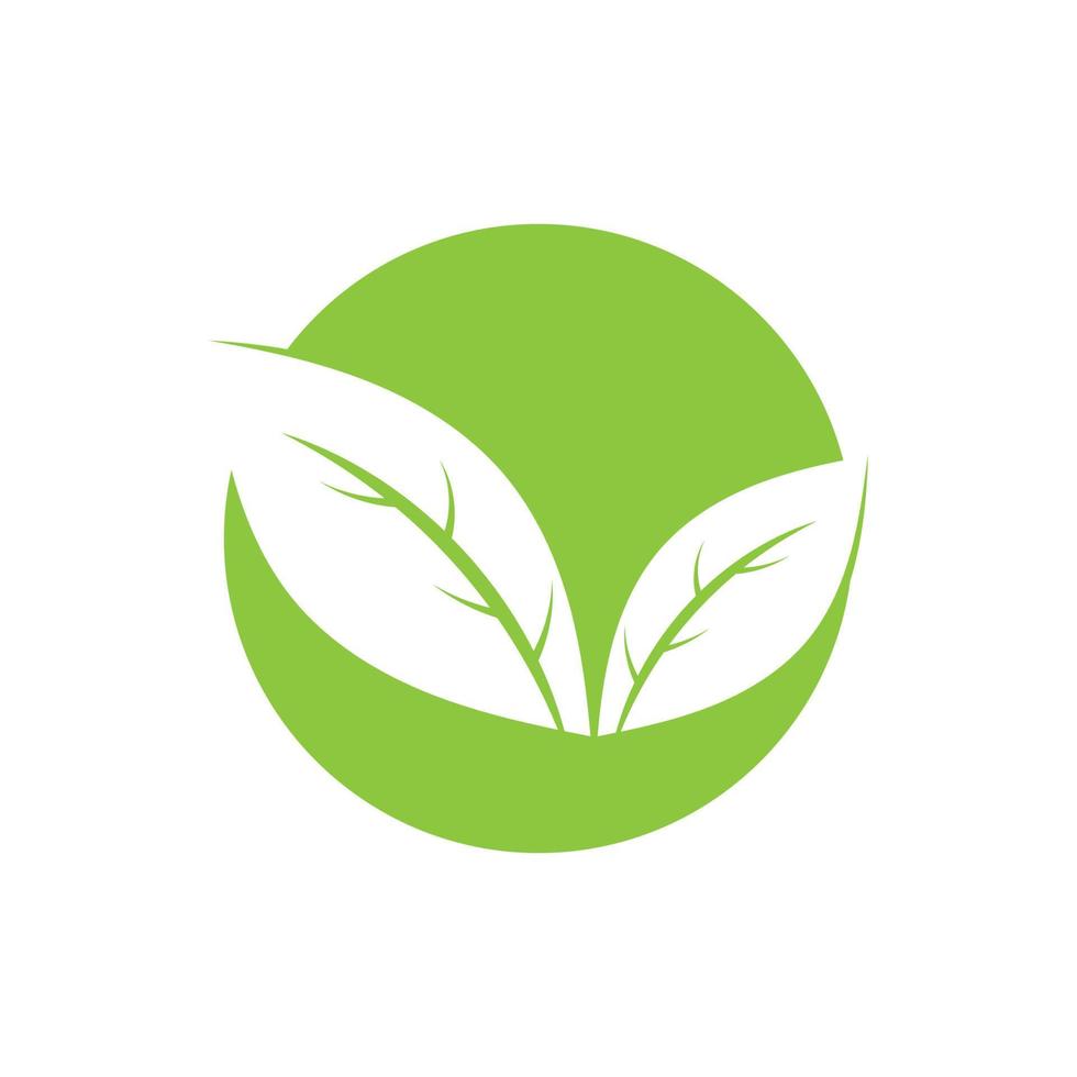 logotipos de vector de elemento de naturaleza de ecología de hoja de árbol verde