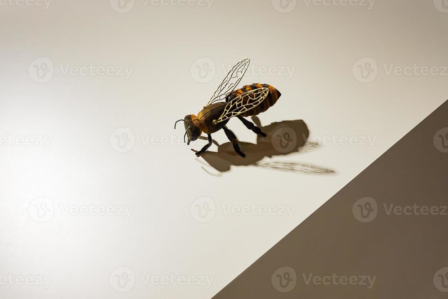 Close up of a bee sitting on white wall. Hard shadows. Interior decoration. photo