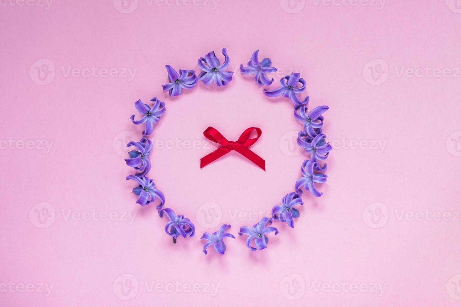 Round frame of pastel purple hyecinth flowers and red bow on gradient pink background. Floral wreath. Layout for holidays greeting of Mothers day, birthday, wedding or other happy event photo