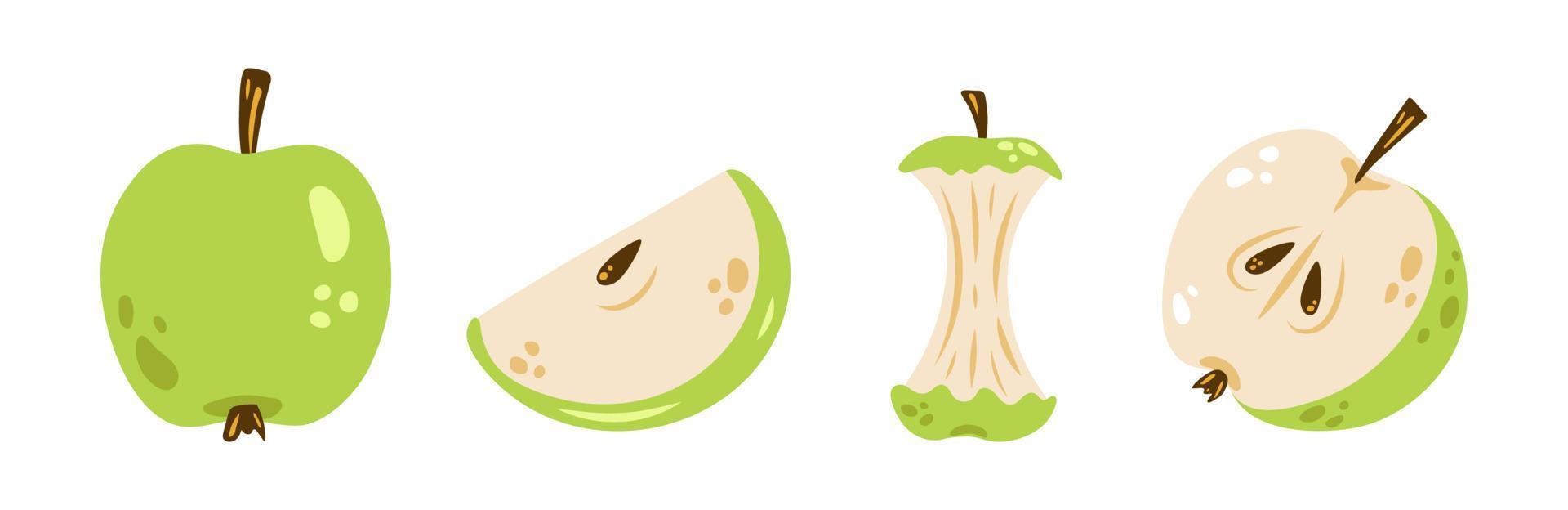 conjunto de manzana vectorial. lindas manzanas verdes en diseño plano. colección colorida de manzana entera, media manzana, rebanada y núcleo de manzana. vector